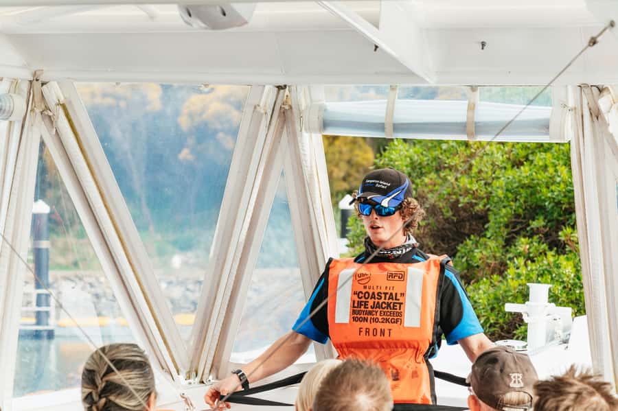 Kangaroo Island: 75-Minute Coastal Safari - Setting Expectations: When Dolphins Are Farther Away