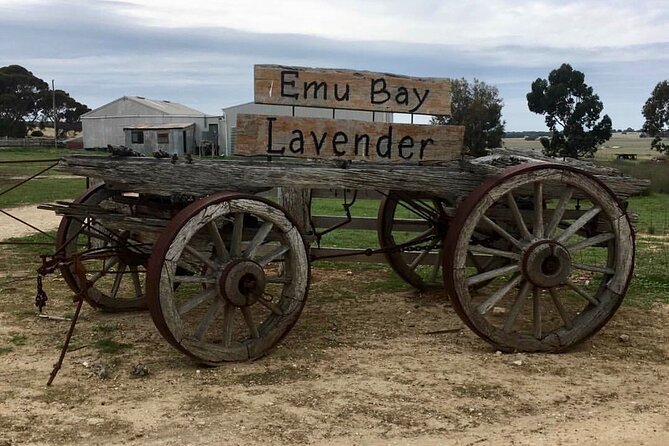 Kangaroo Island Half Day Tasting Tour - Why a half-day tasting tour is a smart Kangaroo Island move