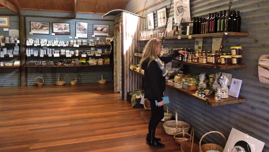 Kangaroo Island: Half-Day Tour Guided Coach Tour - Key things to know before you go