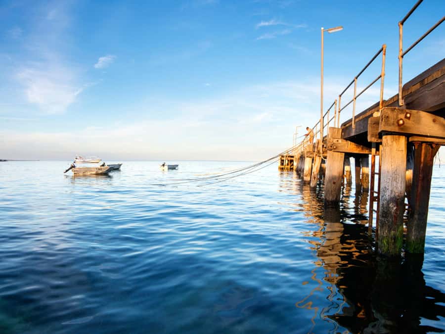 Kangaroo Island: Half-Day Tour Guided Coach Tour - The Silo Art and the easy photo breaks