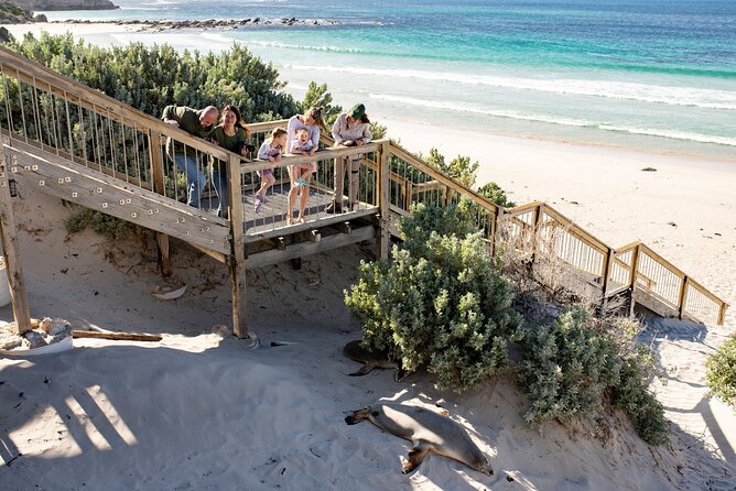 Kangaroo Island in a Day Tour from Adelaide - What to bring for comfort (and why snacks matter)