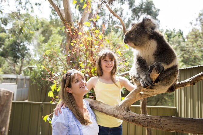 Kangaroo Island in a Day Tour from Adelaide - Price and value: what $271.12 gets you in real terms