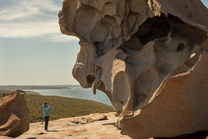 Kangaroo Island in a Day Tour from Adelaide - Adelaide to Penneshaw: the ride that sets your expectations