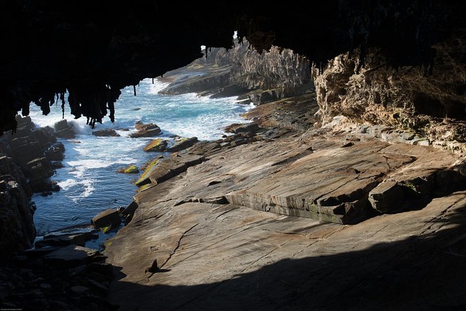 Kangaroo Island Luxury Small Group 'Flinders Chase Focus' Full Day Tour - Where Flinders Chase Fits Into the Kangaroo Island Story