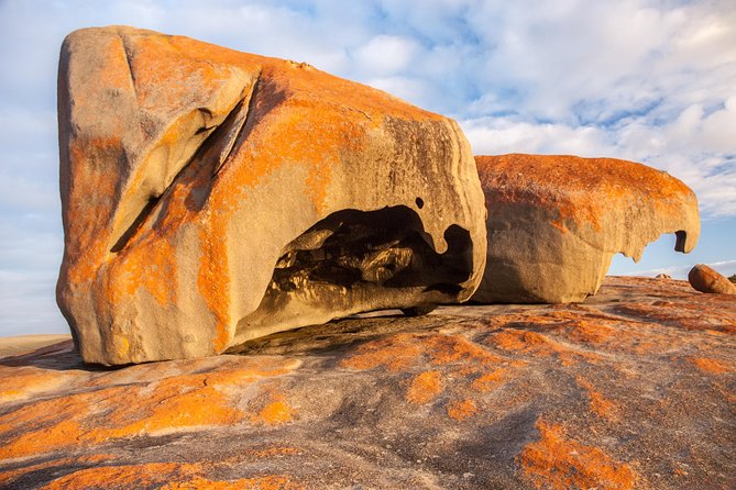 Kangaroo Island Luxury Small Group 'Flinders Chase Focus' Full Day Tour - Flinders Chase National Park: Time to Look, Not Just Pass Through