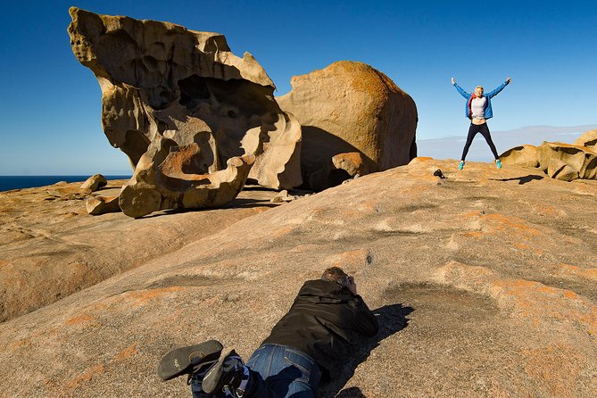 Kangaroo Island Luxury Small Group 'Flinders Chase Focus' Full Day Tour - Admirals Arch and Cape du Couedic: The Seal Show You Came For