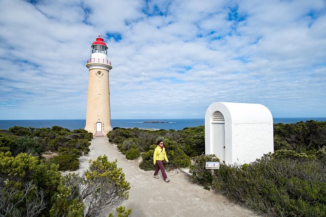Kangaroo Island Luxury Small Group 'Flinders Chase Focus' Full Day Tour - Lunch in the Bush: Where the Comfort Actually Counts
