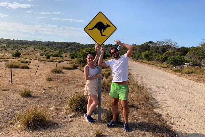 Kangaroo Island Luxury Small Group 'Island Life' Full Day Tour - Lathami Conservation Park bush walk for mammals and the Glossy Black Cockatoo