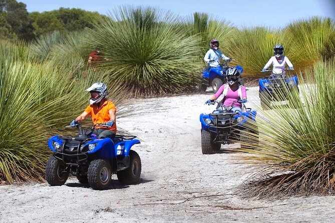 Kangaroo Island Quad Bike (ATV) Tours - Stop 1, Kangaroo Island Outdoor Action: where the off-road fun lives