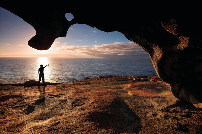 Kangaroo Island Scenic Nature and Wildlife Day Tour - Price and logistics: what $286.18 buys you