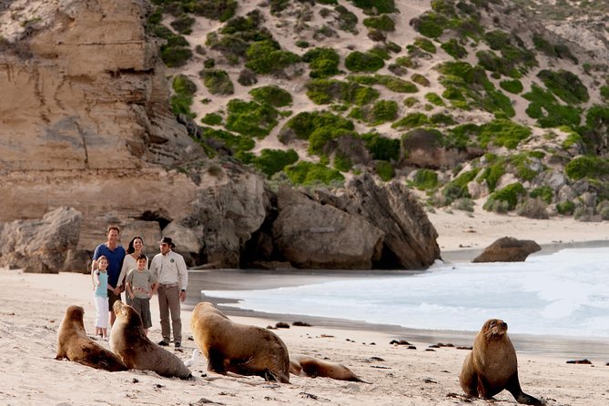 Kangaroo Island Scenic Nature and Wildlife Day Tour - Seal Bay Conservation Park: the sea lion beach walk that anchors the day