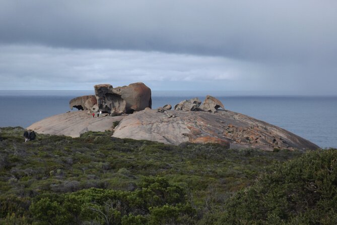 Kangaroo Island Scenic Nature and Wildlife Day Tour - Vivonne Bay: a quick 30-minute photo break