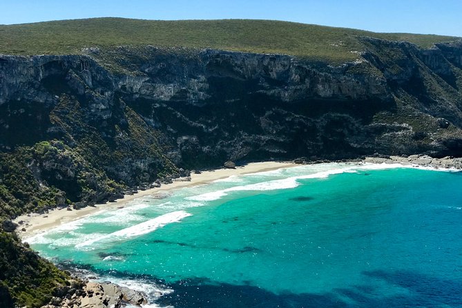 Kangaroo Island Scenic Nature and Wildlife Day Tour - Lunch stop reality: plan for cafe food, not a full included meal