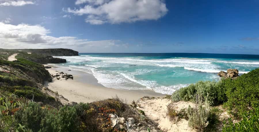 Kangaroo Island: Scenic, Nature & Wildlife Tour - Key things to know before you go