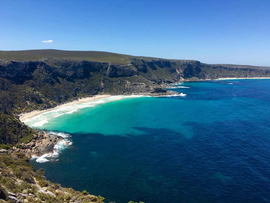 Kangaroo Island: Scenic, Nature & Wildlife Tour - Getting started: pickup timing and how the day runs