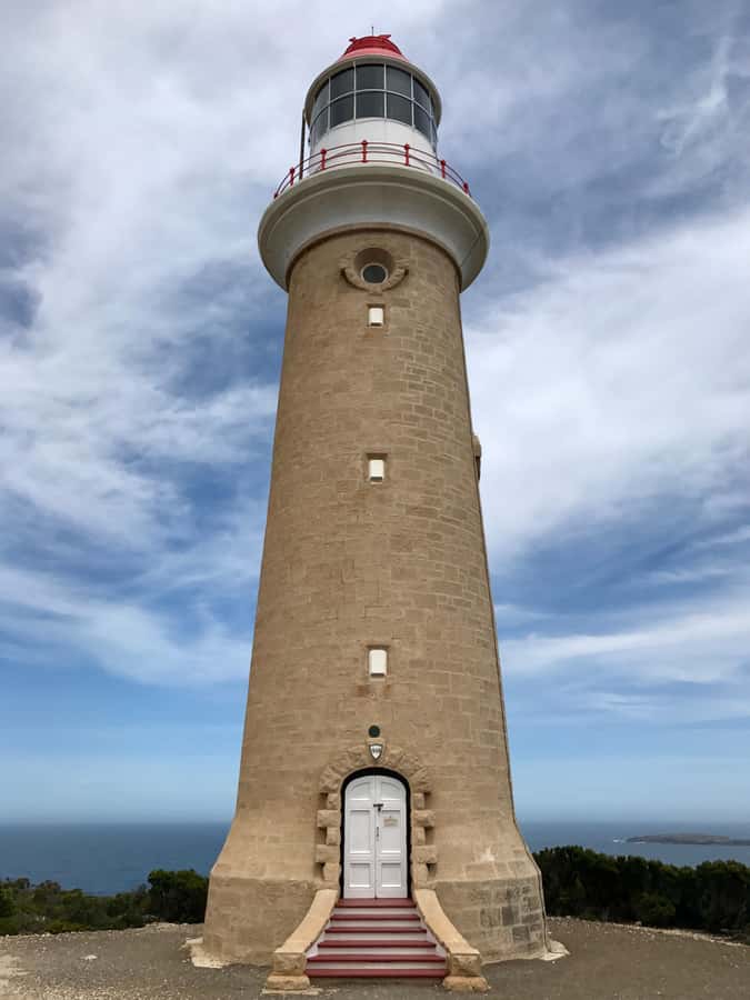 Kangaroo Island: Scenic, Nature & Wildlife Tour - Seal Bay: the sea lion colony stop that anchors the day
