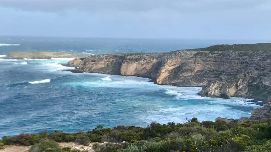 Kangaroo Island: Scenic, Nature & Wildlife Tour - Weirs Cove and Vivonne Bay: where wildlife odds meet great coastline time