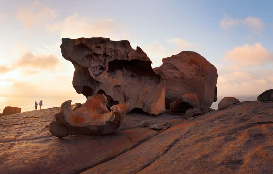 Kangaroo Island: Scenic, Nature & Wildlife Tour - Wildlife spotting, without the stress