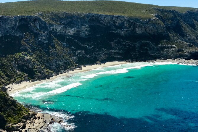 Kangaroo Island Shore Excursion Scenic Trail Tour - Wildlife watching: great odds, no guarantees