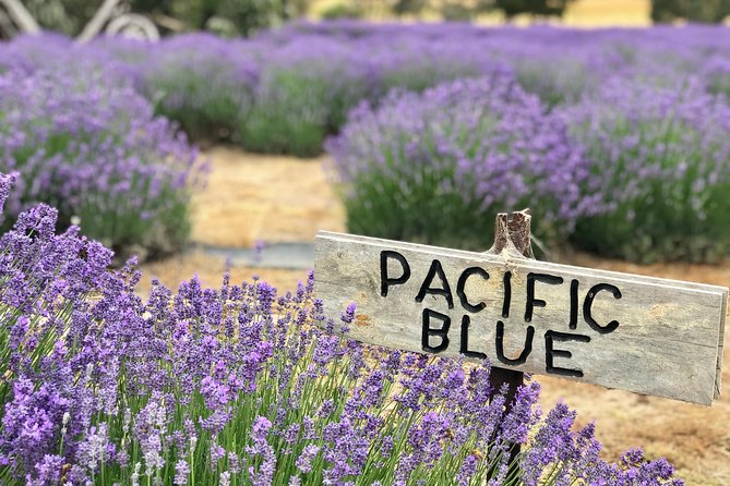 Kangaroo Island Shore Excursion Tasting Tour - For Cruise Ship Passengers Only - Key things to know before you go