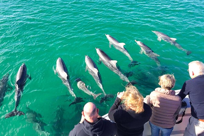 Kangaroo Island - Swim with Dolphins/Seals/Coastal Snorkel - Coastal snorkeling: what you’re doing when you’re not swimming with seals