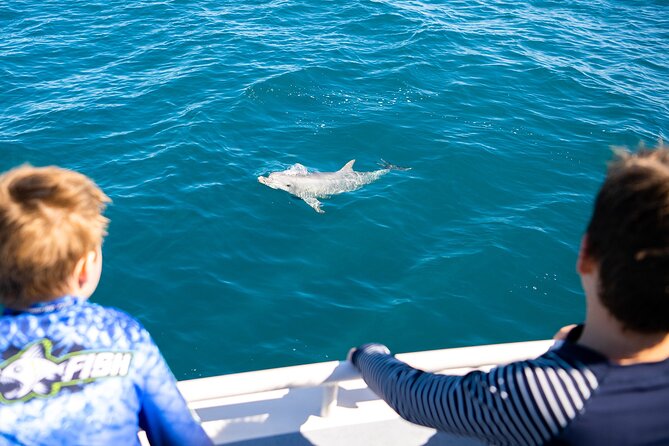 Kangaroo Island - Swim with Dolphins/Seals/Coastal Snorkel - Duration, group size, and the pacing you should expect