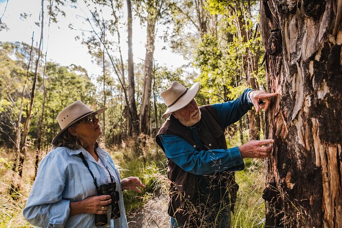 Kangaroos and Koala Experience Tour - Key Things That Make This Tour Worth Your Time