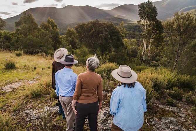 Kangaroos and Koala Experience Tour - The Guides: Neil and Bill, and Why That Matters