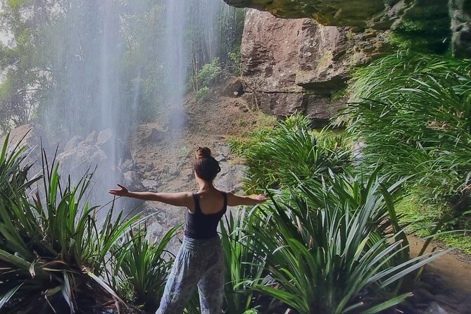 Kangaroos, Rainforest & Waterfalls Experience - Small Group - Setting Out From Surfers Paradise, With a Small-Group Feel