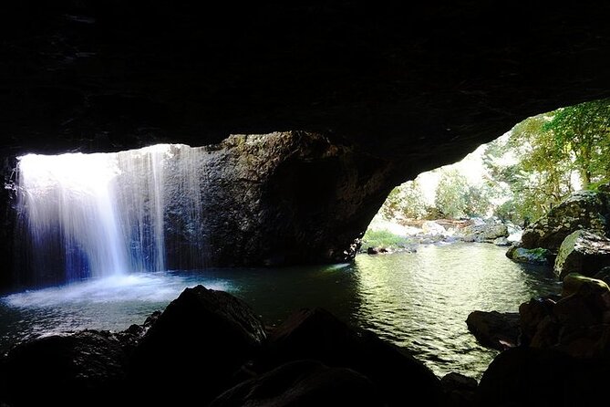 Kangaroos, Rainforest & Waterfalls Experience - Small Group - How the Day’s Pace Works (and Who It Suits Best)