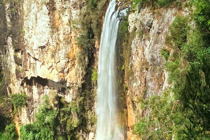 Kangaroos, Rainforest & Waterfalls Experience - Small Group - Price and Value: Why $128.39 Can Make Sense