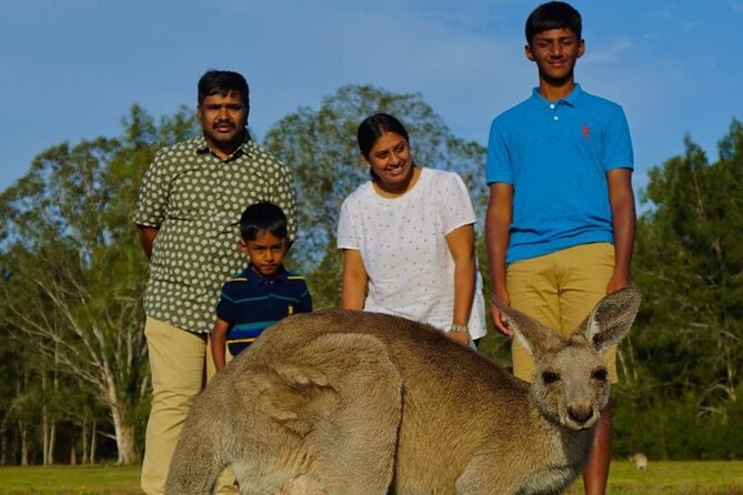 Kangaroos, Rainforest & Waterfalls Experience - Small Group - What to Pack for Waterfall Spray, Steps, and Rainy Weather