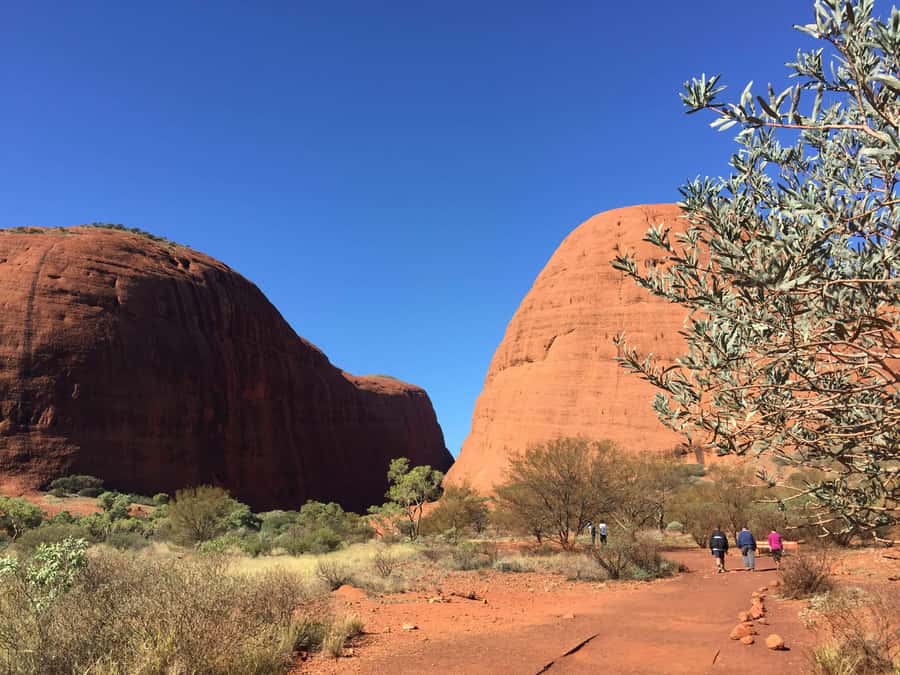 Kata Tjuta: Small Group Sunrise Tour with Picnic Breakfast - Kata Tjuta sunrise, Walpa Gorge, and why small-group matters