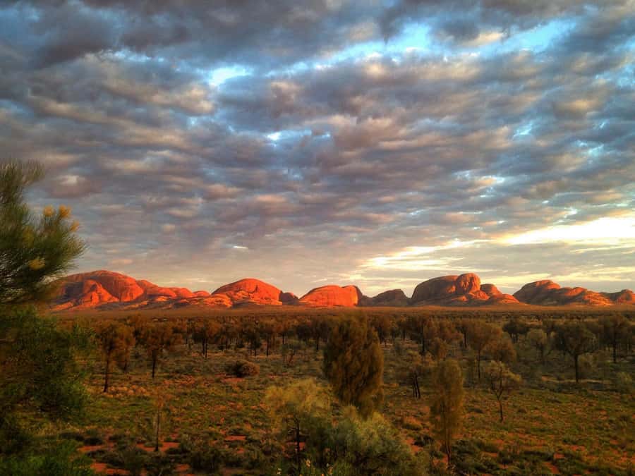 Kata Tjuta: Small Group Sunrise Tour with Picnic Breakfast - Walpa Gorge walk: wind, rock walls, and what to expect on the ground