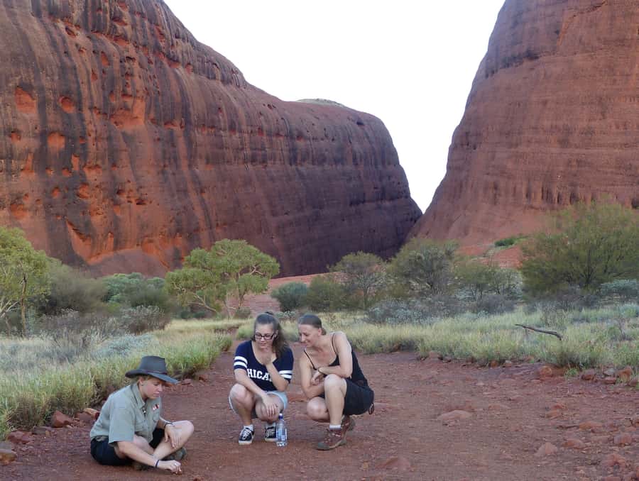 Kata Tjuta: Small Group Sunrise Tour with Picnic Breakfast - Price and value: $169, plus the park ticket you still need