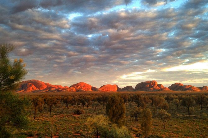 Kata Tjuta Small-Group Tour Including Sunrise and Breakfast - The Ride: Air-Conditioned 4WD Pickup from Ayers Rock Resort