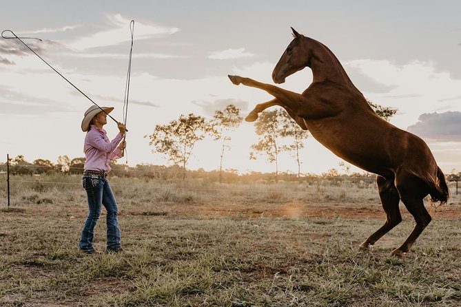Katherine Outback Experience Show Ticket - Key things that make this ticket worth your time