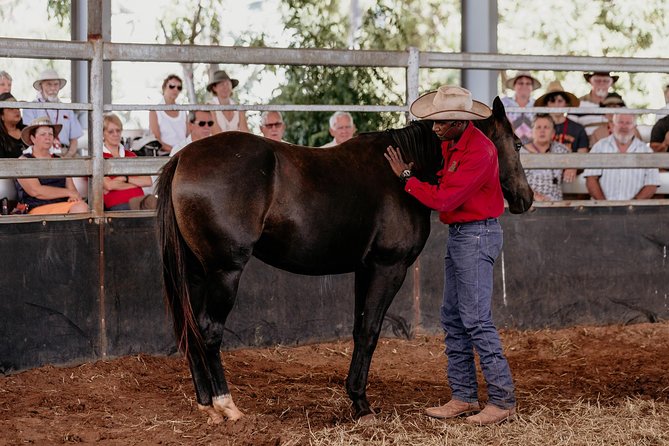 Katherine Outback Experience Show Ticket - Comfort in the Top End: shade, cold towels, and heat management