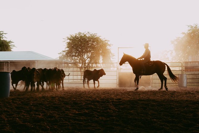 Katherine Outback Experience Show Ticket - Entering the arena: what happens from start to finish