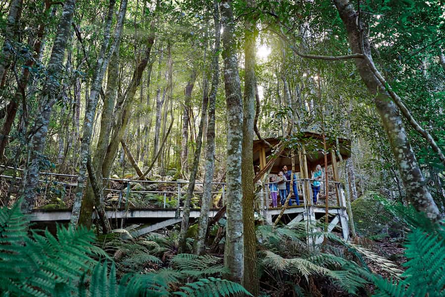 Katoomba: Scenic World 1-Day Unlimited Discovery Pass - Scenic Railway: the world’s steepest descent and the thrill factor