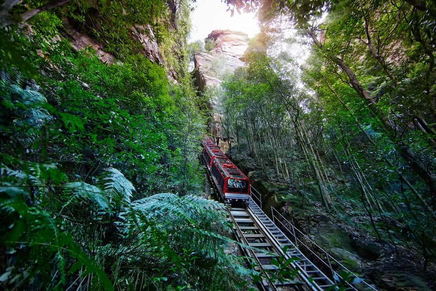 Katoomba: Scenic World 1-Day Unlimited Discovery Pass - Price and value: what the $43 unlimited pass really buys