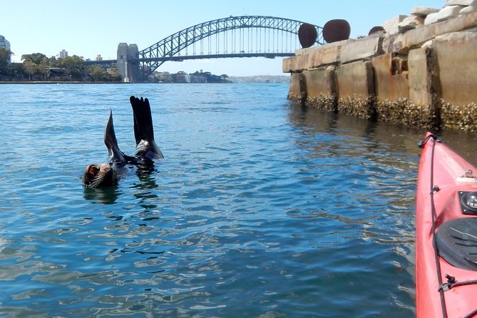 Kayak to Goat Island in Sydney Harbour with Local - What “small group” changes on a kayak tour of Sydney