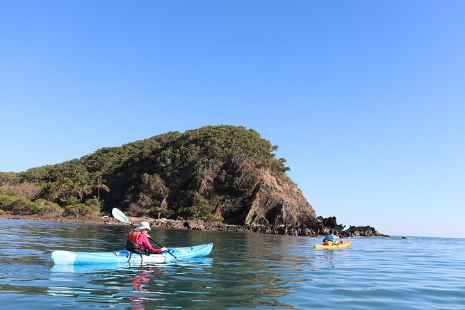 Kayak Turtle Tour from Palm Cove - Key Things I’d Prioritize About This Kayak Turtle Tour