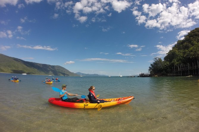 Kayak Turtle Tour from Palm Cove - 7:00 am Kayak Start Means Better Paddling, Better Wildlife Odds
