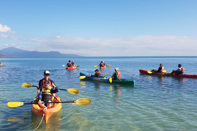 Kayak Turtle Tour from Palm Cove - Turtle Spotting at the First Stop Around Double Island