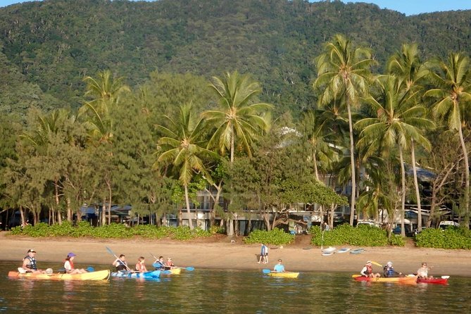 Kayak Turtle Tour from Palm Cove - Mangroves, Rays, Shovel-Nosed Sharks, and the Limestone Cave
