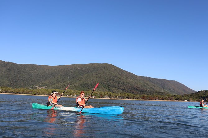 Kayak Turtle Tour from Palm Cove - Island Swim and Snorkeling Break on Double Island