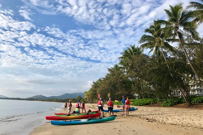 Kayak Turtle Tour from Palm Cove - Should You Book the Kayak Turtle Tour from Palm Cove?