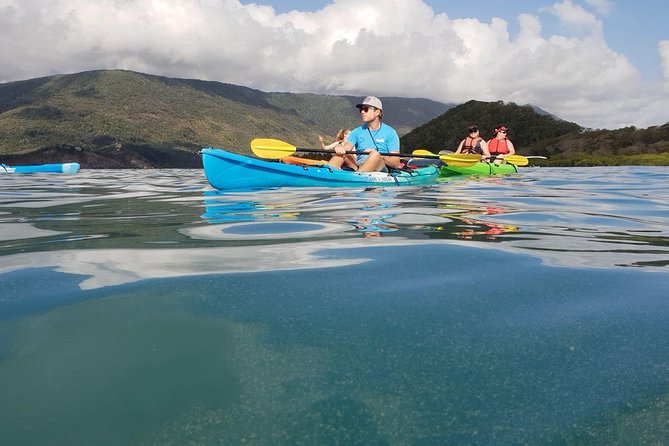 Kayak Turtle Tour from Palm Cove - Paddle Plan from 73 Williams Esplanade to Double Island