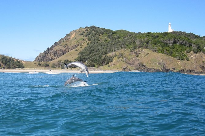 Kayaking with Dolphins in Byron Bay Guided Tour - Where You Start at Cape Byron Kayaks (and Why It Matters)